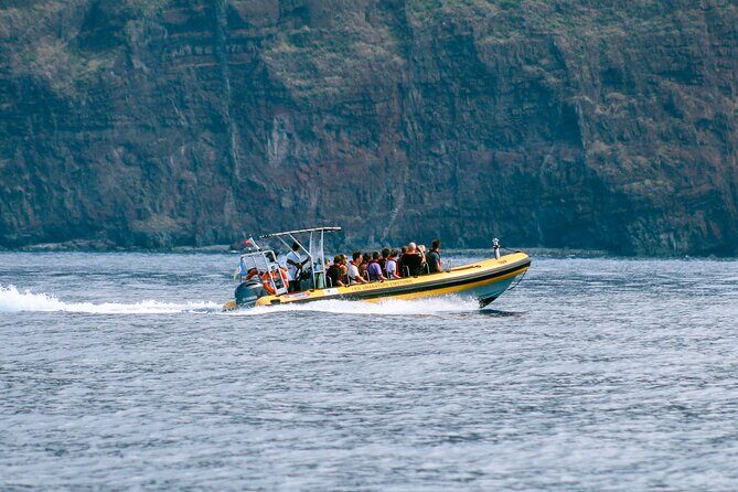 Madeira Dolphin & Whale Watching Tour - Timing: Why Some Trips Feel Like Two Hours and Some Like Three