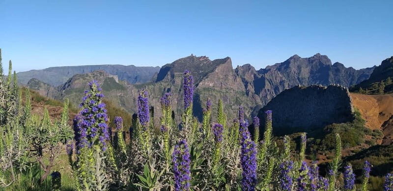 Madeira East Island Tour and Levada Walk - East Madeira in a day: what this tour actually feels like