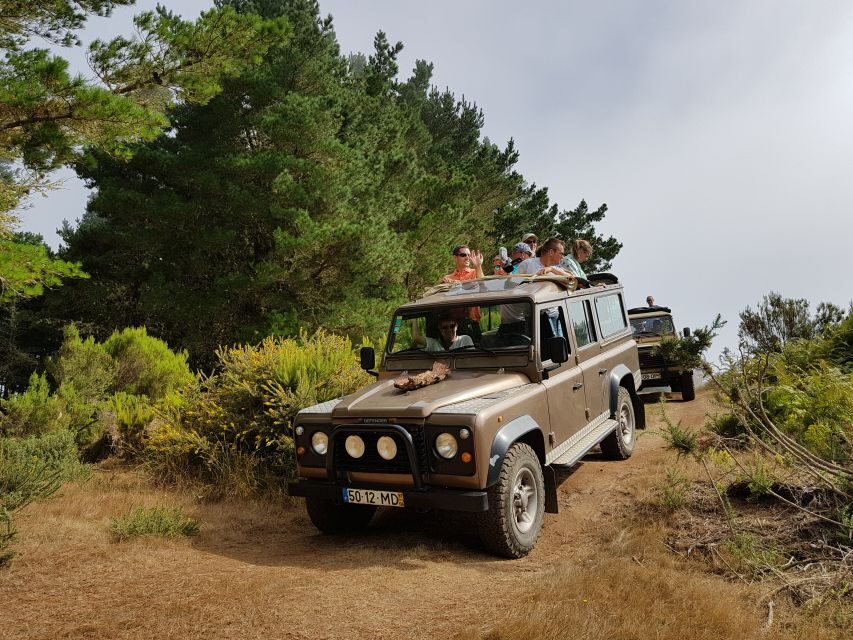 Madeira East or West Private Half-Day Tour by Open-Top Jeep - Who this tour suits best (and who should consider something else)