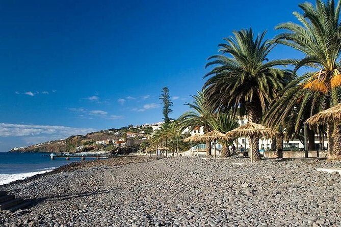 Madeira East Tour from Funchal - Ribeiro Frio: trout pools and levada country