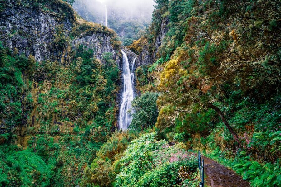 Madeira: Enjoy a Guided Levada Walk in the Rabaçal Valley - Key points before you go