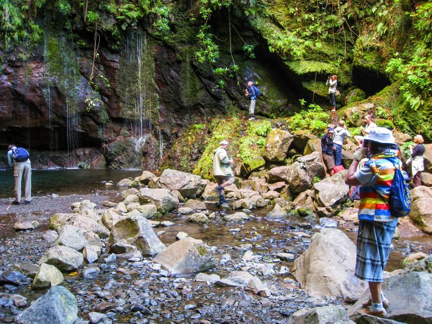 Madeira: Enjoy a Guided Levada Walk in the Rabaçal Valley - Levada das 25 Fontes: the 25 springs moment, plus the reality of a busy trail