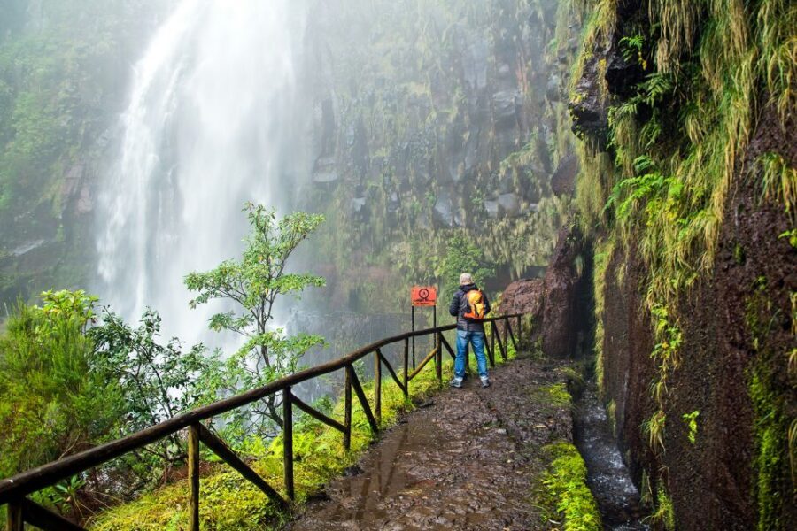 Madeira: Enjoy a Guided Levada Walk in the Rabaçal Valley - What you’ll see along the way: forests, cliffs, lagoons, and birds