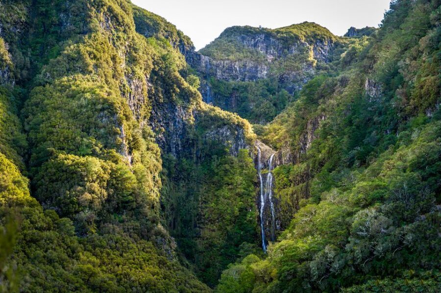 Madeira: Enjoy a Guided Levada Walk in the Rabaçal Valley - Pace and fitness: what 8 hours feels like on a levada trail