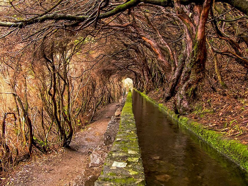 Madeira: Enjoy a Guided Levada Walk in the Rabaçal Valley - What to pack (and what to leave at home)