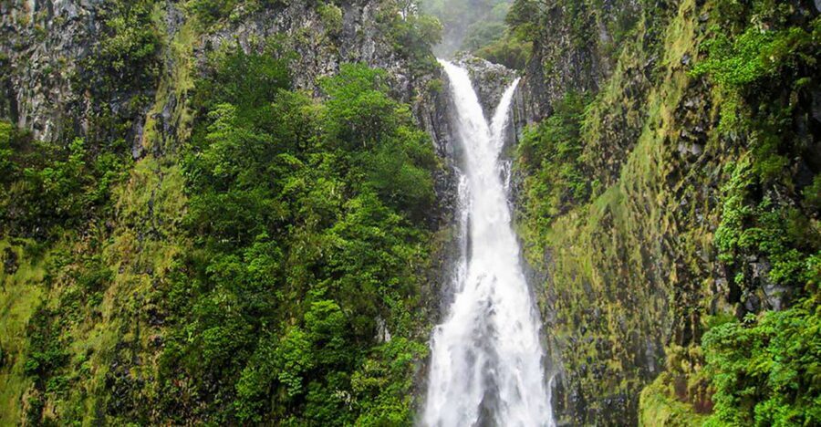 Madeira: Enjoy a Guided Levada Walk in the Rabaçal Valley - From Funchal pickup to Paul da Serra: start with the climb in your legs, not your head