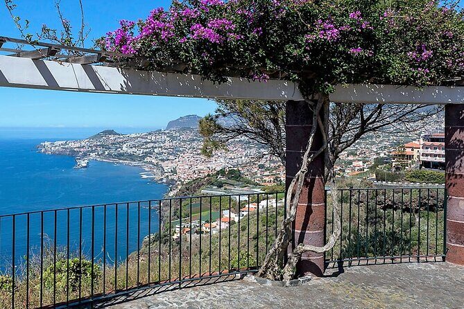 Madeira Essence Half Day Tour for Cruises - Câmara de Lobos: The Fishing-Town Stop That Makes Madeira Feel Real