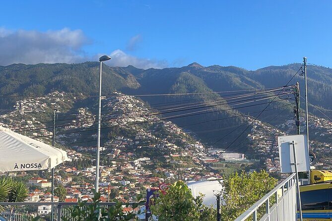 Madeira Essence Half Day Tour for Cruises - Mallassada Boutique: Madeira Wine Tasting and Typical Sweets (Adults Only for the Wine)