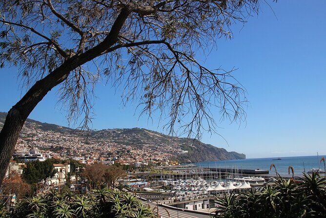Madeira Essence Half Day Tour for Cruises - What Can Go Wrong on Cruise Days (And How You Protect Yourself)