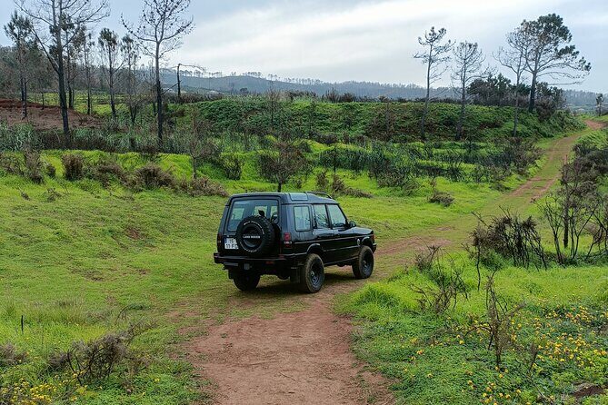 Madeira: Experiência 4WD Skywalk para Seixal Porto Moniz, Fanal - Key highlights to know before you go