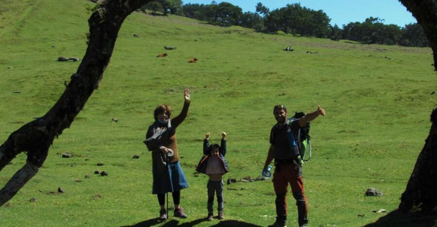 Madeira: Fanal Forest Guided Hiking Tour - Pickup Ride Through Madeira’s Volcanic Terrain (SUV Style)