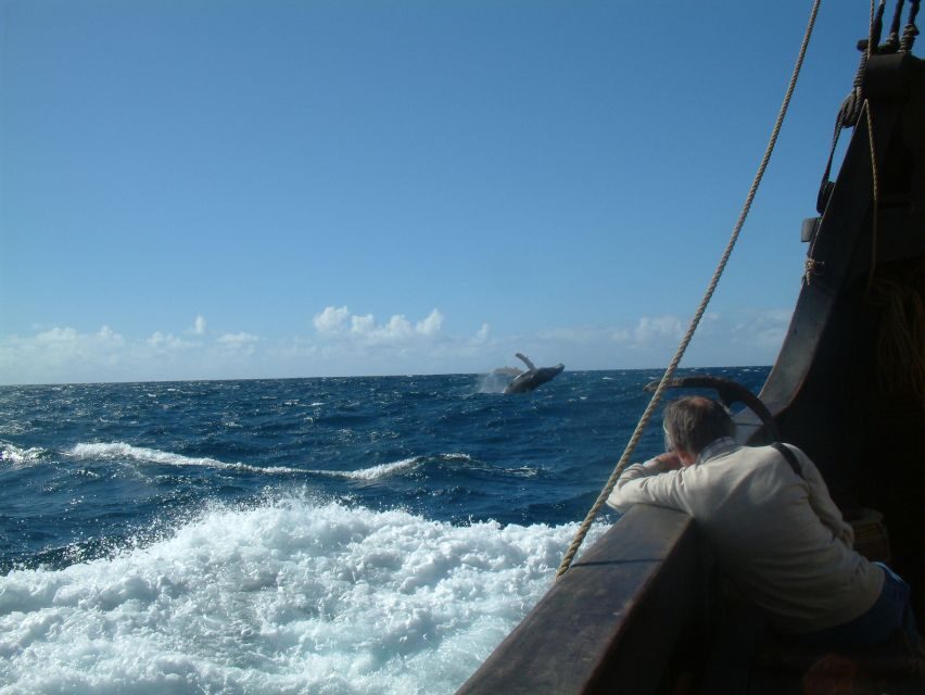 Madeira: Flag Ship Tour aboard Santa Maria de Colombo - Who this tour suits best (and who should think twice)