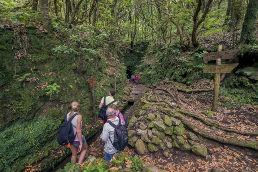 Madeira: Full-Day Laurel Forest Guided Walking Tour - Caldeirão Verde Stop: The Break Spot With a Real Payoff