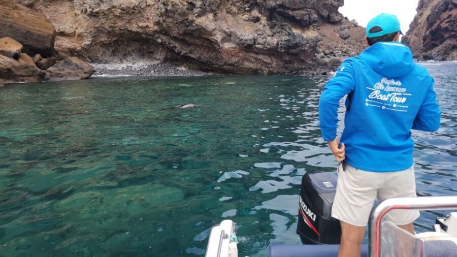 Madeira: Full-Day of Activities in Ponta de São Lourenço - Who should book, who should skip