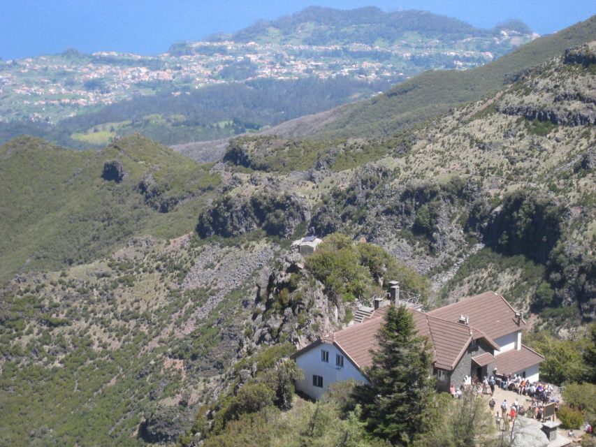 Madeira: Full-Day Pico Ruivo / Achada do Teixeira Walk - Oldest Heather Forest: Walking Through Centuries