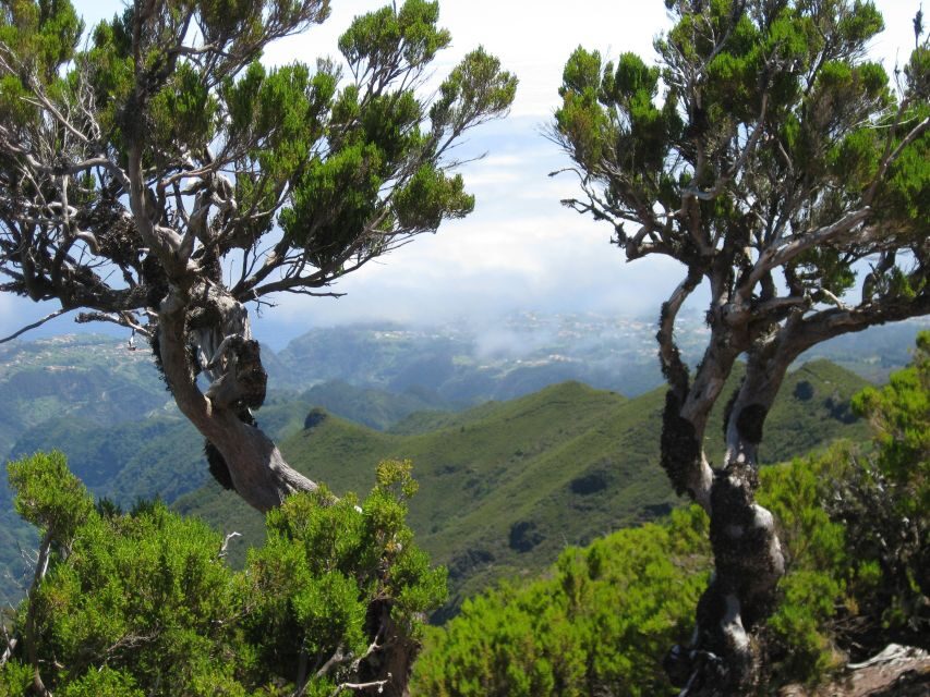Madeira: Full-Day Pico Ruivo / Achada do Teixeira Walk - Ascending to Pico Ruivo, Highest Point of Madeira