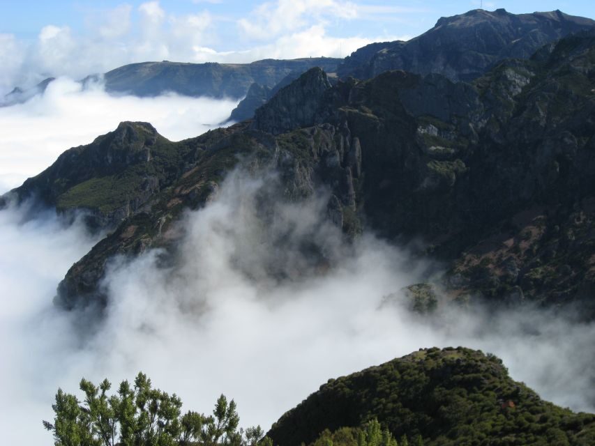 Madeira: Full-Day Pico Ruivo / Achada do Teixeira Walk - The Rock Formations and Plant Life You’ll Actually Notice