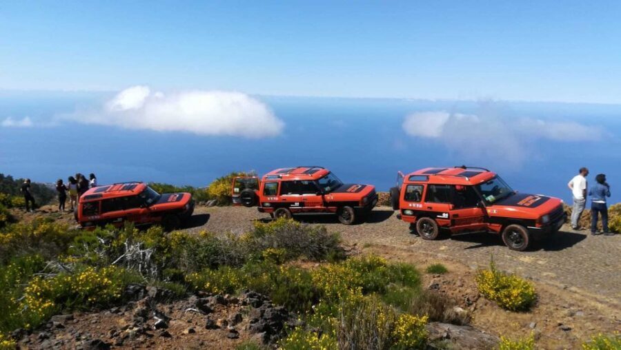 Madeira: Full-Day Porto Moniz Jeep Tour - Key Highlights You’ll Feel Immediately