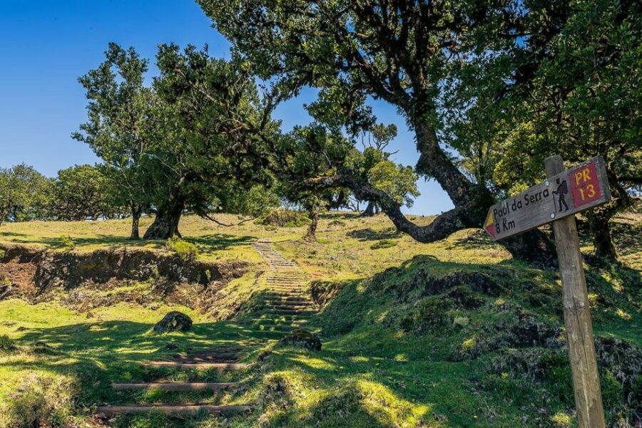 Madeira: Full-Day Porto Moniz Jeep Tour - A Land Rover Jeep Day from Funchal to Madeira’s North Coast