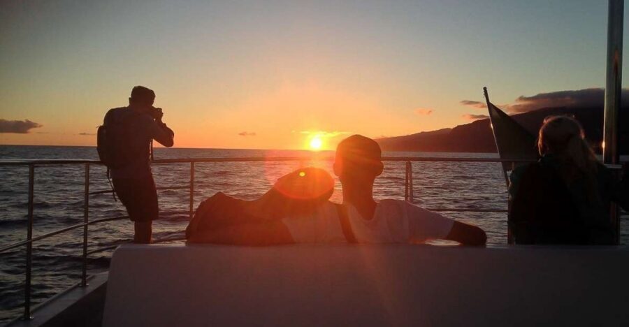 Madeira: Funchal Sunset Tour by Catamaran - Why the Funchal Sunset Cruise Works So Well on a Catamaran