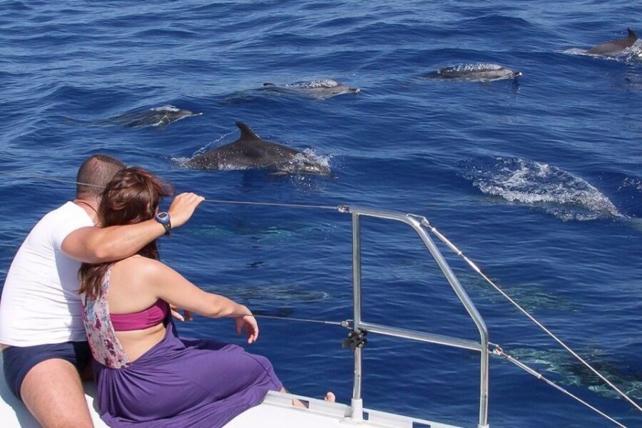 Madeira: Funchal Sunset Tour by Catamaran - The 3-hour plan: sailing out from Funchal toward wildlife and color