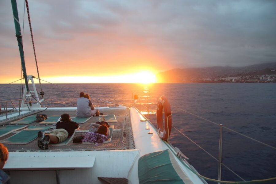 Madeira: Funchal Sunset Tour by Catamaran - Crew-led sea life talk and the onboard bar that keeps things easy