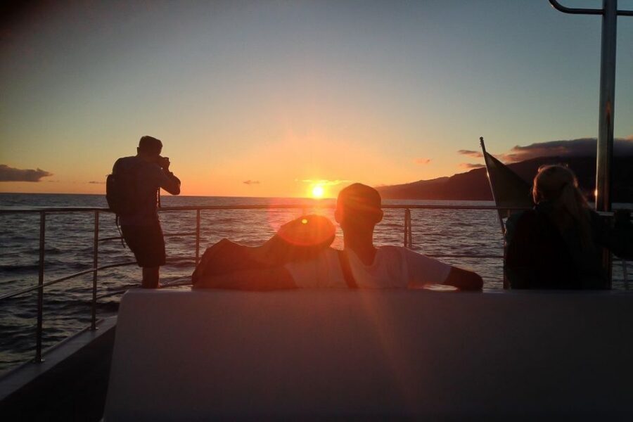 Madeira: Funchal Sunset Tour by Catamaran - Meeting at Funchal Marina: the quick logistics that matter