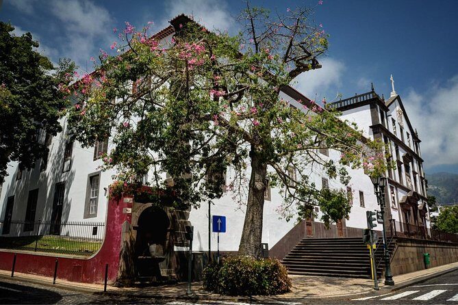 Madeira Grand Experience by Tukxi, Private Tour - Garajau and Pináculo: Cristo Rei Views Without the Bus Hassle