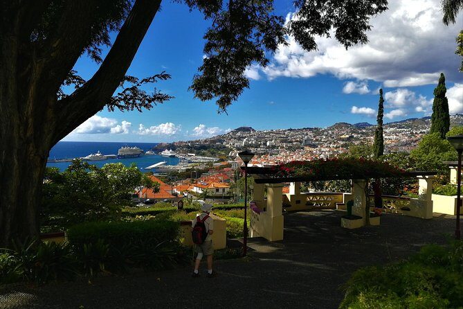 Madeira Grand Experience by Tukxi, Private Tour - Historic Center of Funchal: Old Town Lanes and Major Landmarks