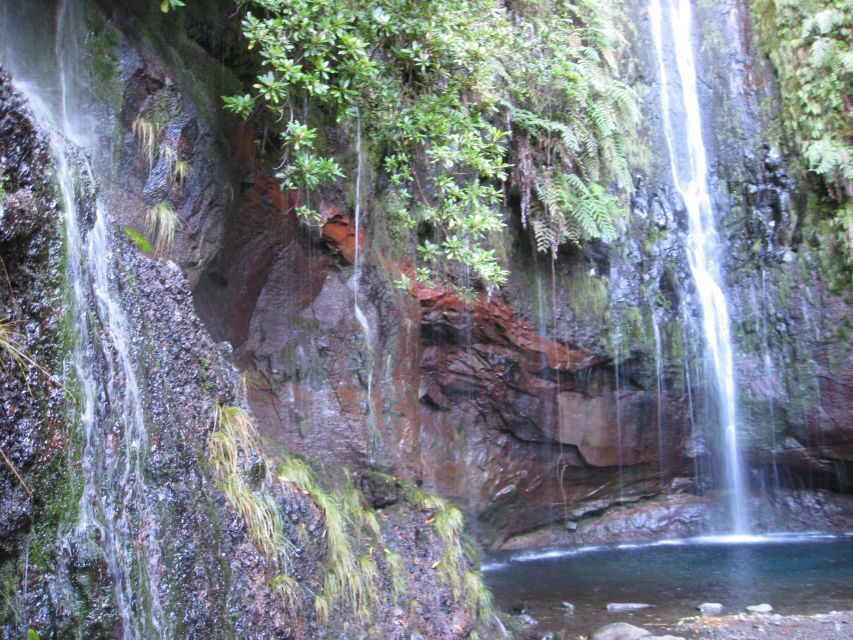 Madeira: Guided Full-Day Rabaçal Walk - The cliffside view: seeing the 25 springs come alive