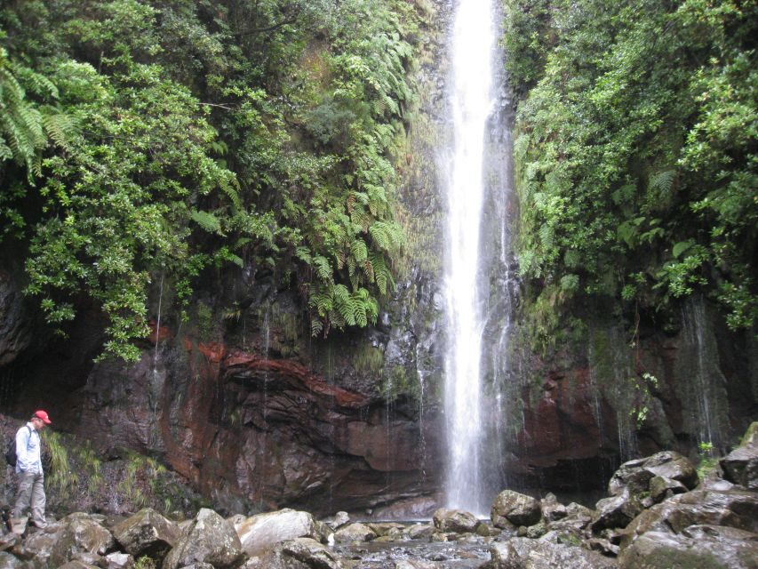 Madeira: Guided Full-Day Rabaçal Walk - The 800-meter tunnel ride: a practical transport moment with a twist