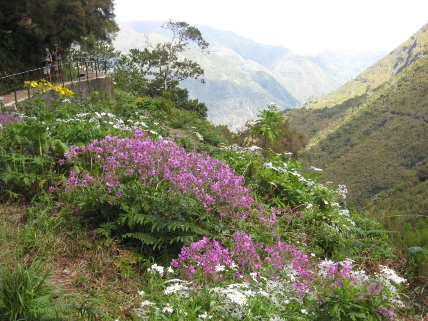 Madeira: Guided Full-Day Rabaçal Walk - Guides and pacing: why the day feels friendly, even when it’s active