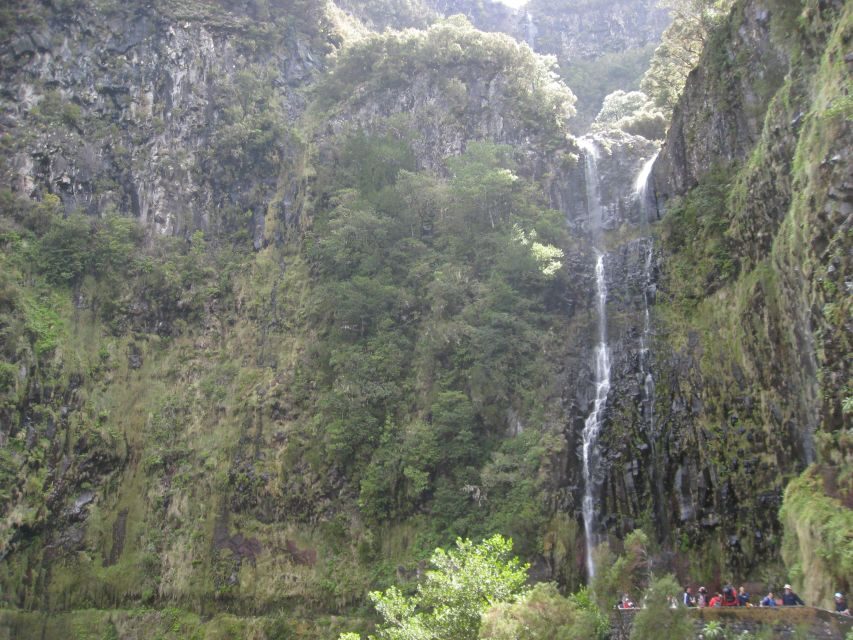Madeira: Guided Full-Day Rabaçal Walk - What to pack: shoes, rain readiness, and the comfort basics