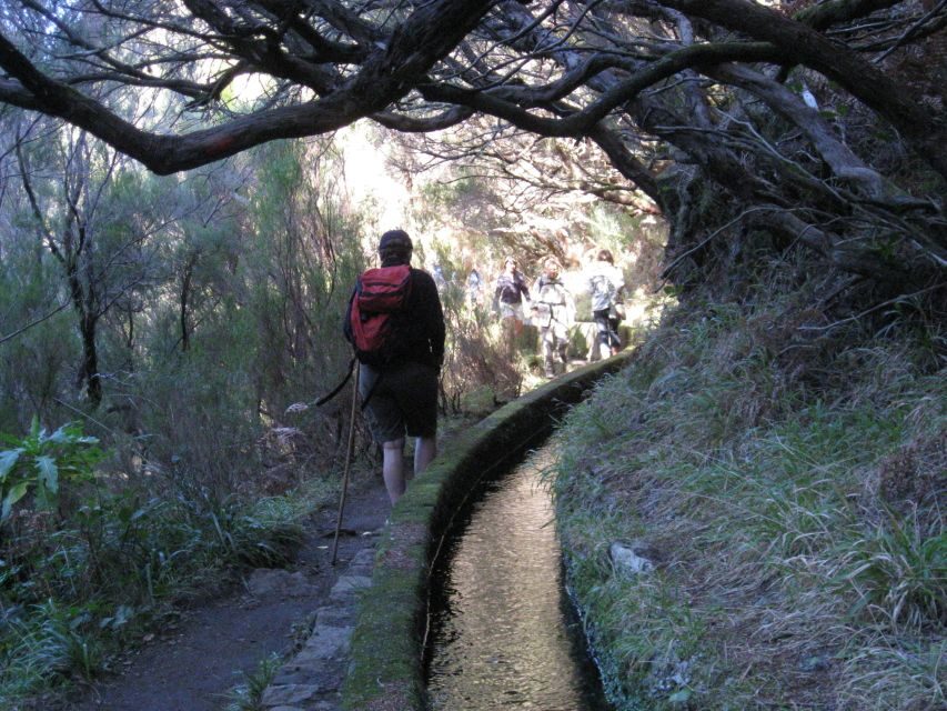 Madeira: Guided Full-Day Rabaçal Walk - Risco Waterfall: the stop that breaks the day into two satisfying halves
