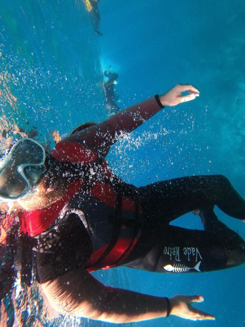 Madeira: Half-Day Coasteering Tour - Who This Tour Fits Best (And Who Should Skip)