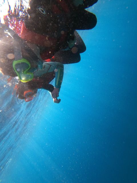 Madeira: Half-Day Coasteering Tour - What You’ll Do for Those 4 Hours (And Why Each Part Matters)