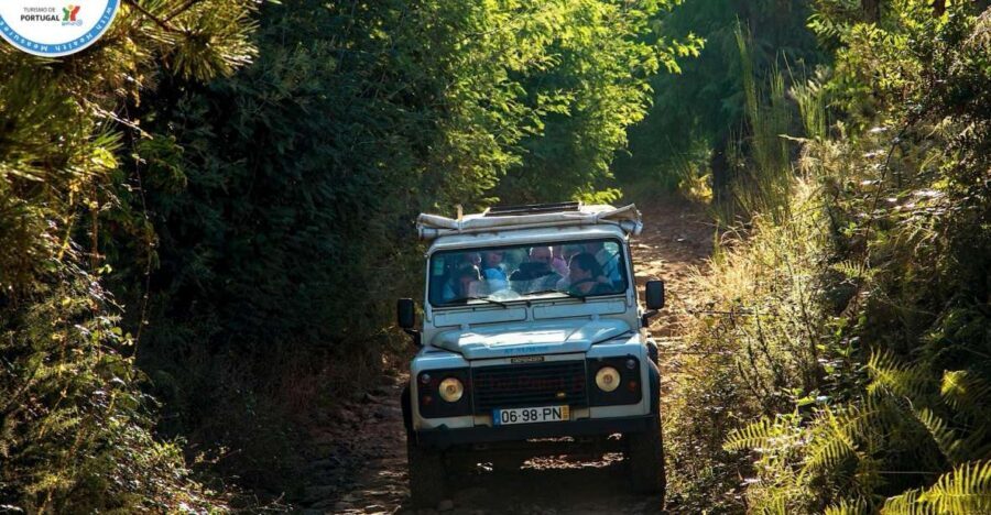 Madeira: Half-Day Nun's Valley and Sea Cliff Tour - A 4x4 Half-Day Through Nun’s Valley Country