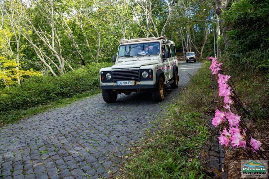 Madeira: Half-Day Nun's Valley and Sea Cliff Tour - Getting Picked Up in Funchal (and What to Expect Time-Wise)