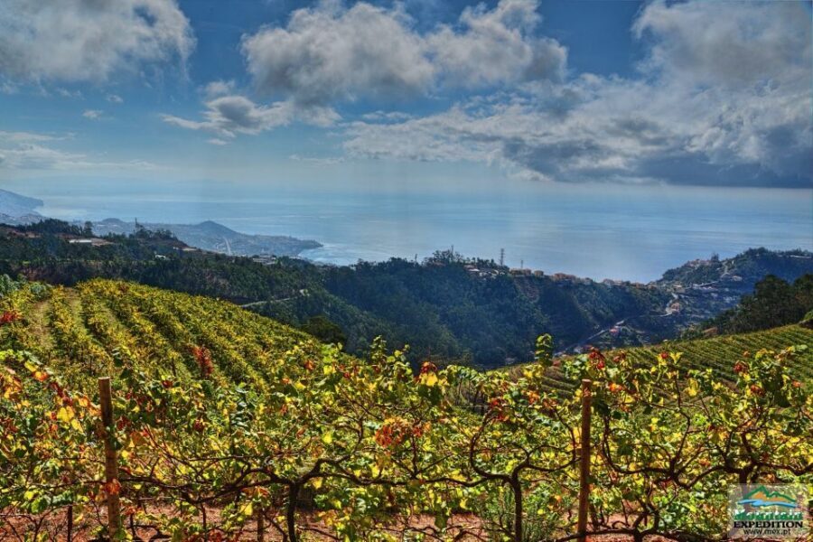 Madeira: Half-Day Nun's Valley and Sea Cliff Tour - Quinta Grande Off-Road and a Local Stop That Feels Human