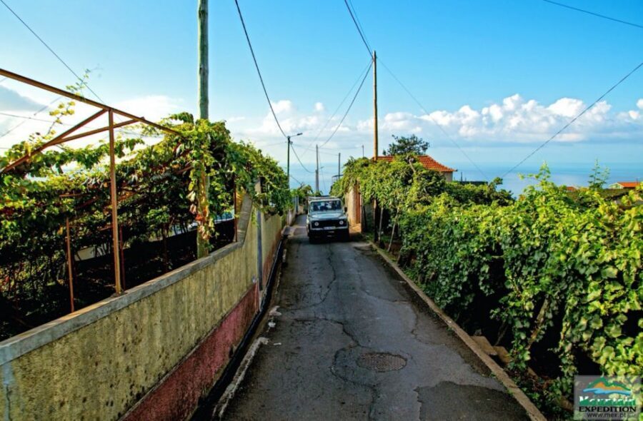 Madeira: Half-Day Nun's Valley and Sea Cliff Tour - Price and What $55 Actually Buys You