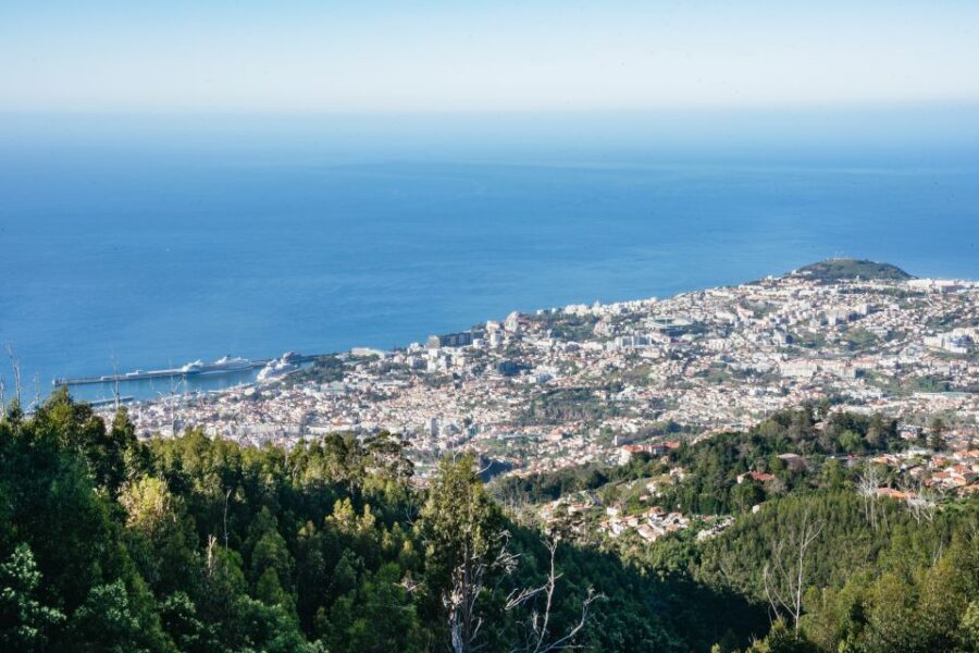 Madeira: Half-Day Pico Arieiro Jeep Tour - Laurissilva Forest Off-Road: The Ride You Remember