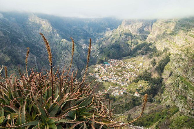 Madeira Half Day Small-Group Tour from Funchal - The guide can make this tour feel custom