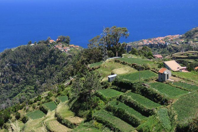 Madeira Highlights: Guided 4-Hour Tour from Funchal - The guide experience: personal help beats rigid scripts