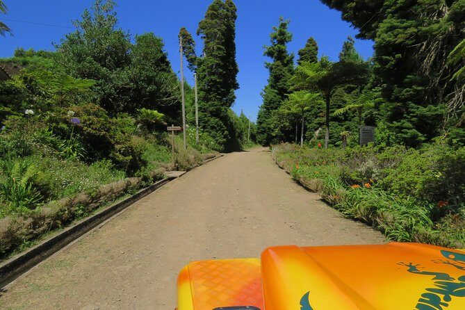 Madeira Highlights: Guided 4-Hour Tour from Funchal - A simple planning checklist before you book