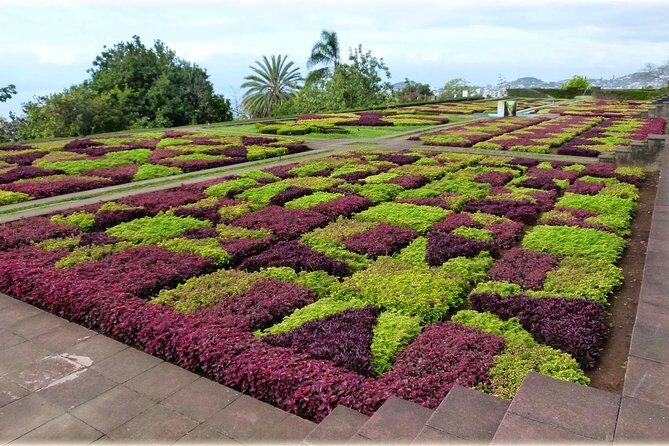 Madeira Highlights: Toboggan, Garden & Cable Car (All-Inclusive) - Skywalk and a fishing village stop: where the day gets extra variety