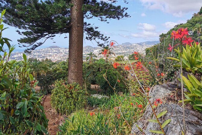 Madeira Highlights: Toboggan, Garden & Cable Car (All-Inclusive) - Price and value: $199.13 makes sense when you count time back