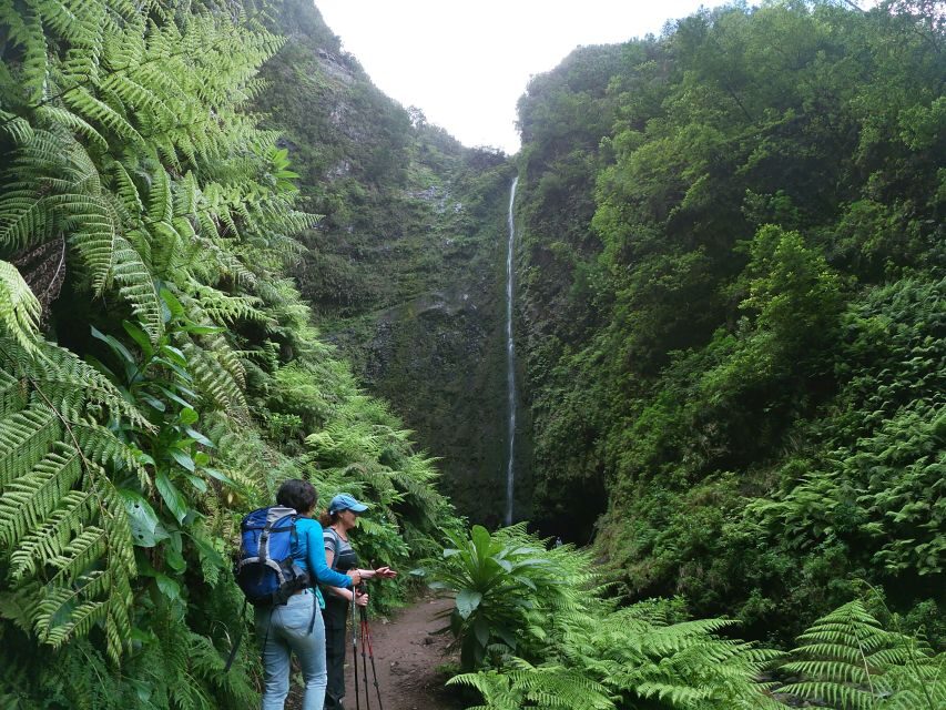 Madeira Island: Caldeirão Verde Levada Walk - Key moments you’ll remember