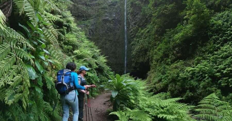 Madeira Island: Caldeirão Verde Levada Walk - Who should book this, and who should skip it