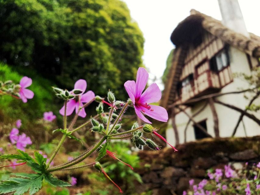 Madeira Island: Caldeirão Verde Levada Walk - Queimadas Forest Park start: thatched-roof atmosphere and a gentle warm-up