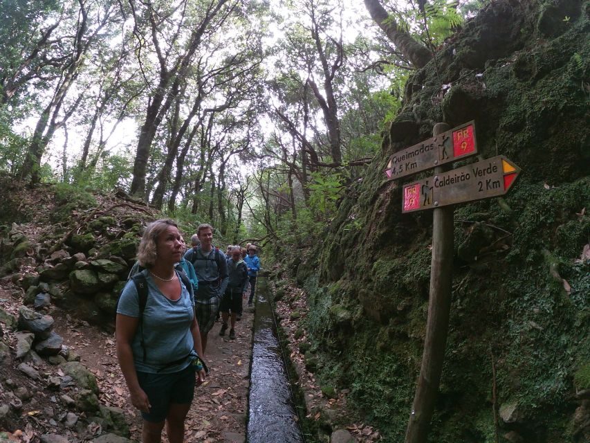 Madeira Island: Caldeirão Verde Levada Walk - Pace, time for photos, and why rain can change the mood